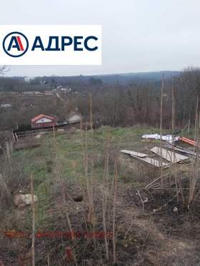 ����� ������� ������,���� ������, �������