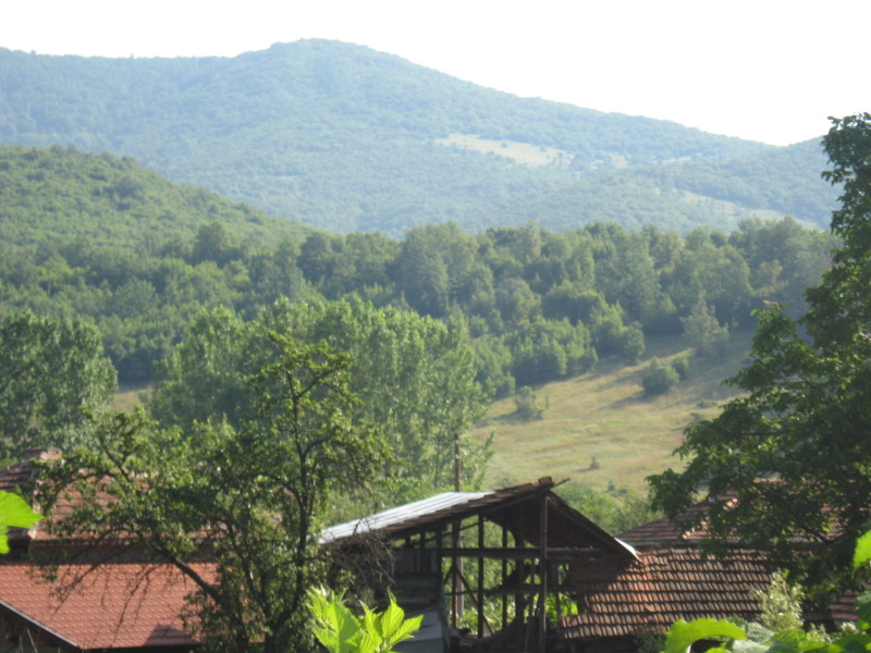 À venda  Hotel região Montana , Gorna Luka , 1200 m² | 35176779 - imagem [5]