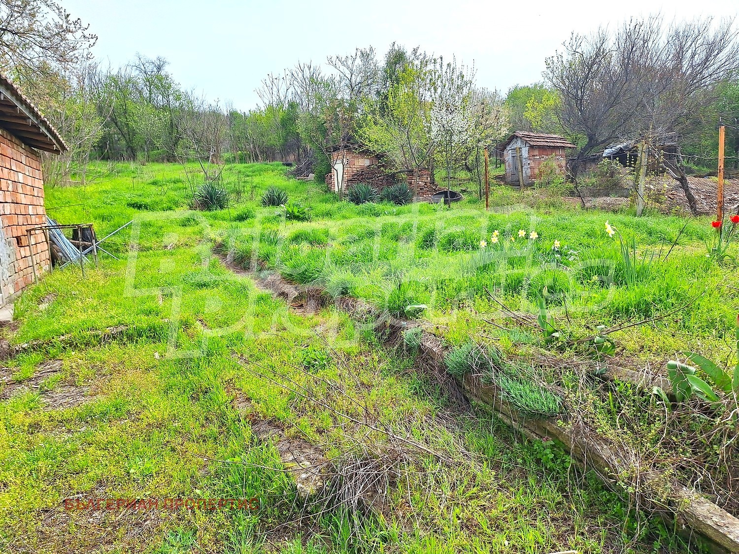 Продава КЪЩА, с. Стежерово, област Плевен, снимка 5 - Къщи - 54462335
