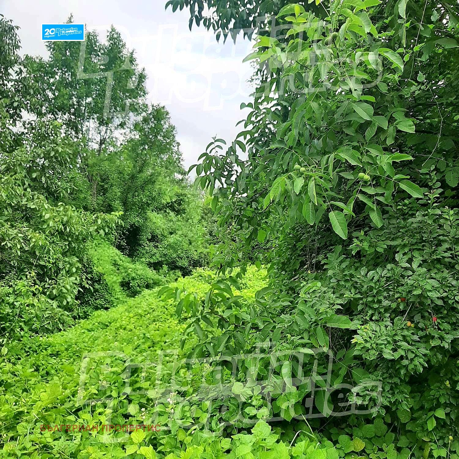 Продава ПАРЦЕЛ | Imot.bg — изображение 8