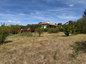 ����� ������� ������,�. ���������, ������ �����