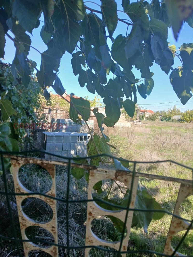 Продава ПАРЦЕЛ, с. Маноле, област Пловдив, снимка 7 - Парцели - 52469783