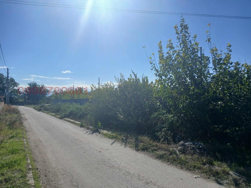 Продава ПАРЦЕЛ, с. Маноле, област Пловдив, снимка 2 - Парцели - 52469783