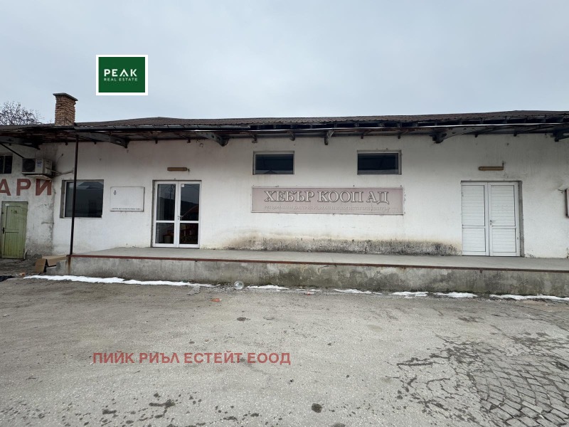 Продава БИЗНЕС ИМОТ, гр. Пазарджик, Промишлена зона - Изток, снимка 2 - Други - 52331335