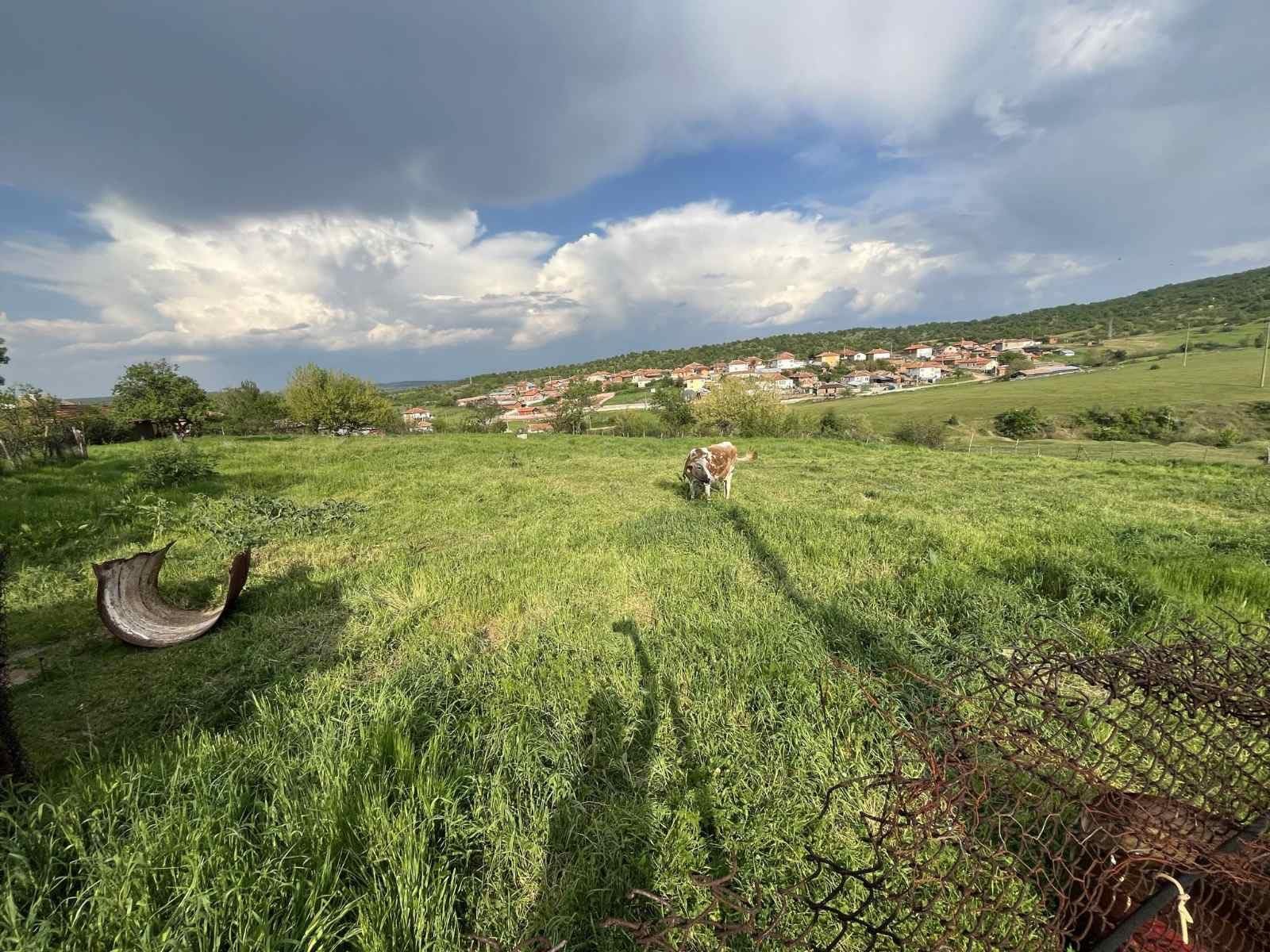 ������� ���� | Imot.bg � ����������� 8