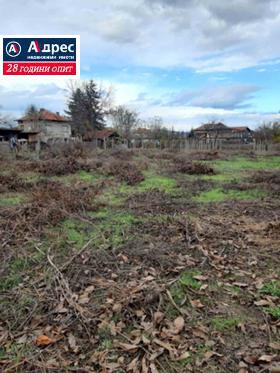 Продажба на имоти в с. Лозен, област Пазарджик - изображение 8 
