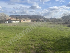 ������ ������� ������