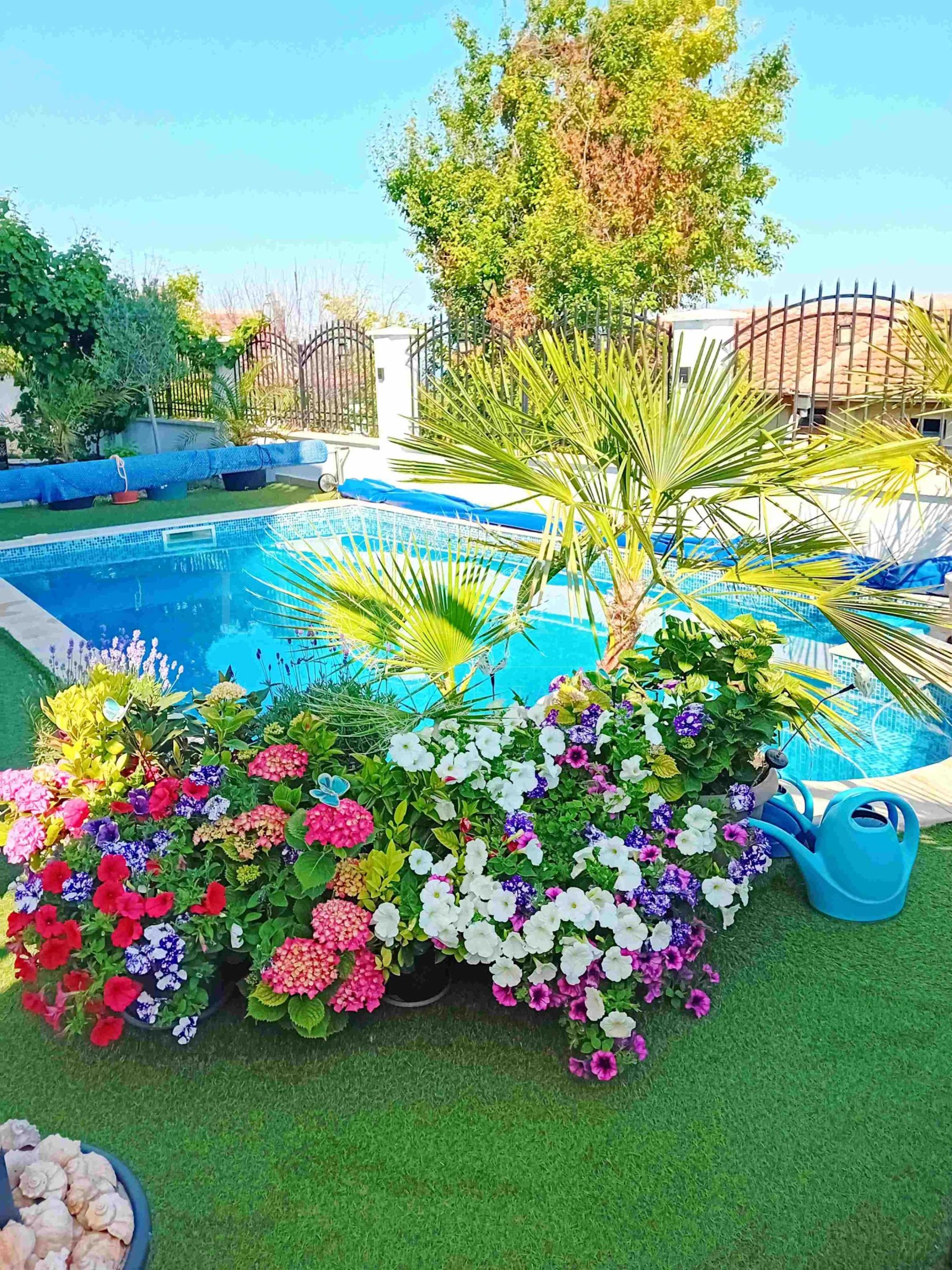 ������� ���� | Imot.bg � ����������� 4