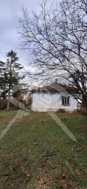 ������ ������� ����