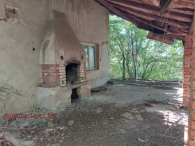 ����� ������� ����,���� ����, �.�. ������