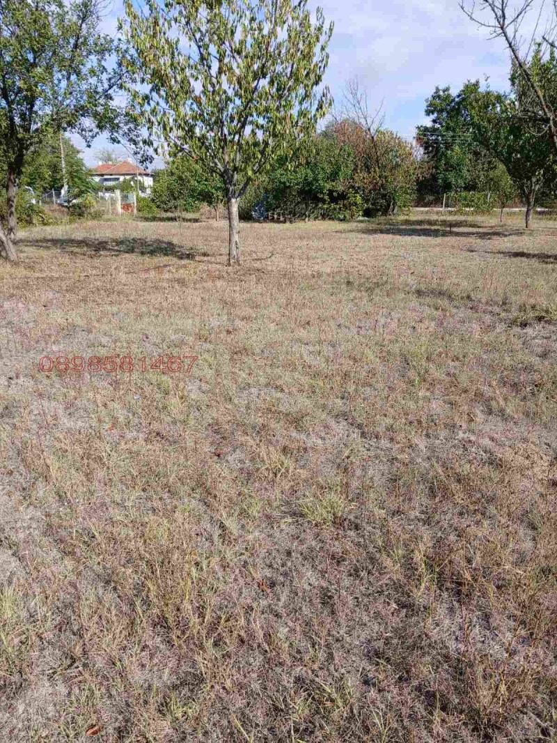 Till salu  Komplott region Stara Zagora , Kalojanovec , 2385 kvm | 40709887 - bild [4]