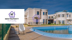 ������ ������� ����