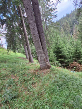 Cselekmény Progled, régió Smolyan 9