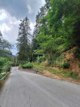 Plot Progled, region Smolyan 1