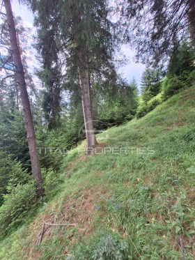 Cselekmény Progled, régió Smolyan 6