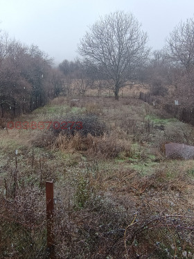 ������� ������ | Imot.bg � ����� ������ 5