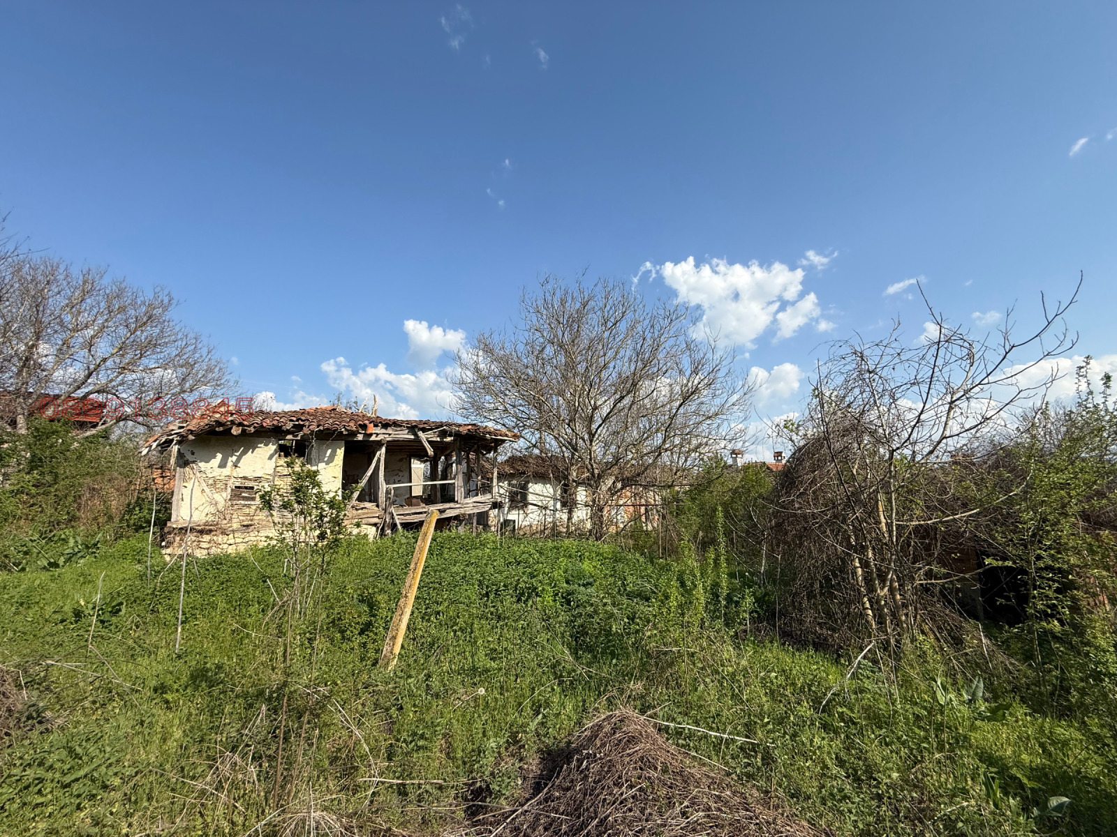 Продава ПАРЦЕЛ, с. Побит камък, област Разград, снимка 2 - Парцели - 54548851