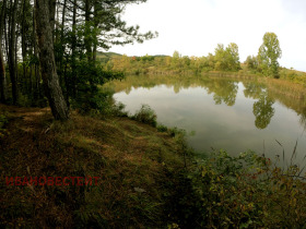 ������� ���� | Imot.bg � ����� ������ 10