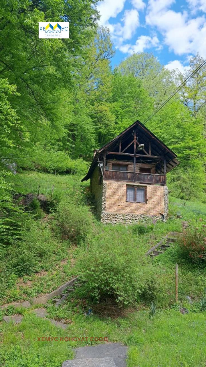 Продава ВИЛА, гр. Троян, област Ловеч, снимка 10 - Вили - 54957508