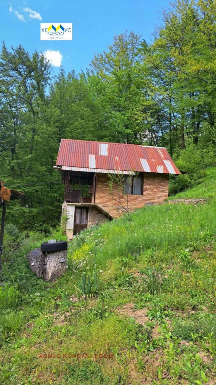 Продава ВИЛА, гр. Троян, област Ловеч, снимка 2 - Вили - 54957508