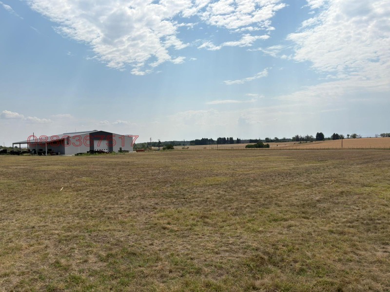 Продава  Пром. помещение област Плевен , с. Тотлебен , 34859 кв.м | 21621115 - изображение [11]