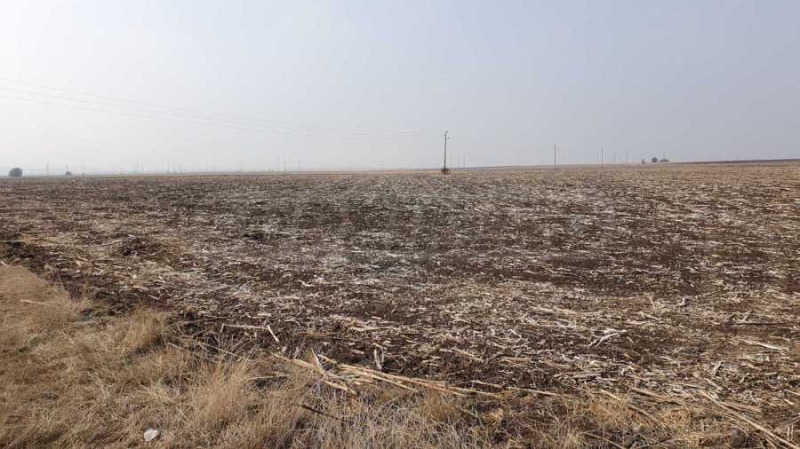De vânzare  Complot regiunea Sofia , Costinbrod , 3000 mp | 84691036 - imagine [2]