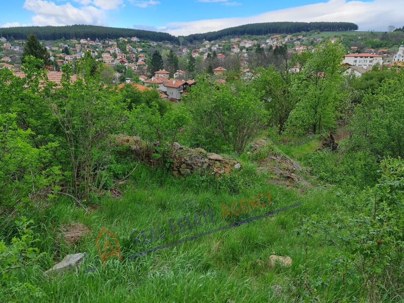 Til salgs  Plott region Pernik , Dren , 746 kvm | 56427354 - bilde [8]