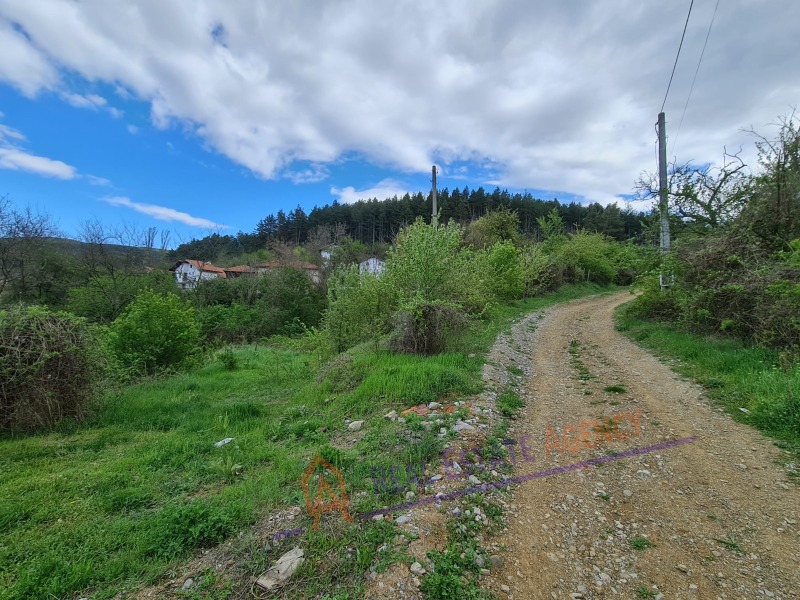 Til salgs  Plott region Pernik , Dren , 746 kvm | 56427354 - bilde [4]