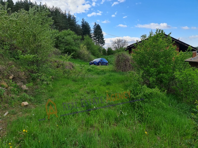 Til salgs  Plott region Pernik , Dren , 746 kvm | 56427354 - bilde [10]