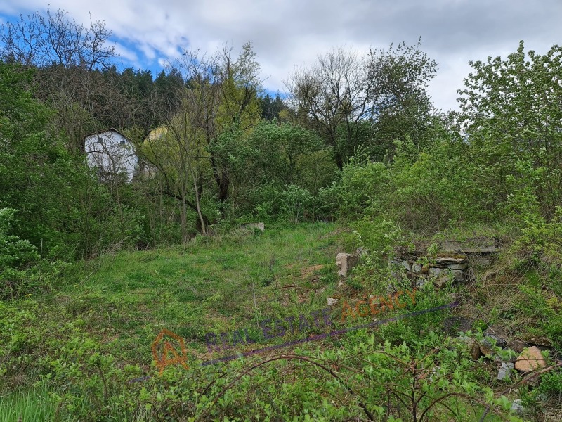 Til salgs  Plott region Pernik , Dren , 746 kvm | 56427354 - bilde [3]