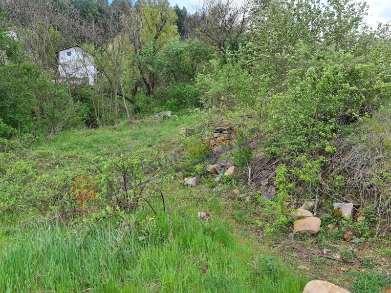 Til salgs  Plott region Pernik , Dren , 746 kvm | 56427354 - bilde [12]