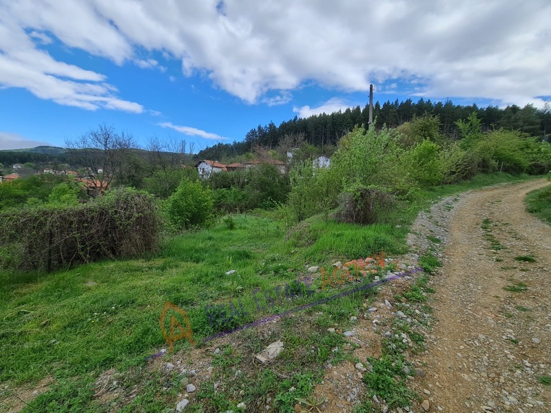 Til salgs  Plott region Pernik , Dren , 746 kvm | 56427354 - bilde [13]