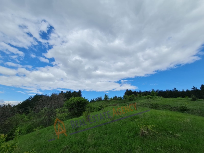 Til salgs  Plott region Pernik , Dren , 746 kvm | 56427354 - bilde [11]