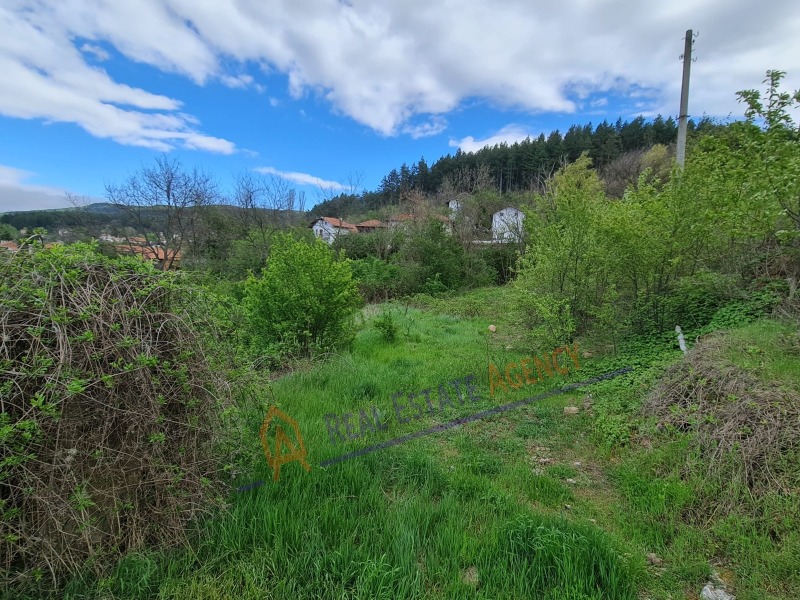 Til salgs  Plott region Pernik , Dren , 746 kvm | 56427354 - bilde [2]