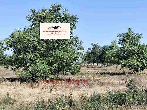 Продава ЗЕМЕДЕЛСКА ЗЕМЯ, с. Тодор Икономово, област Шумен, снимка 3 - Земеделска земя - 53463371