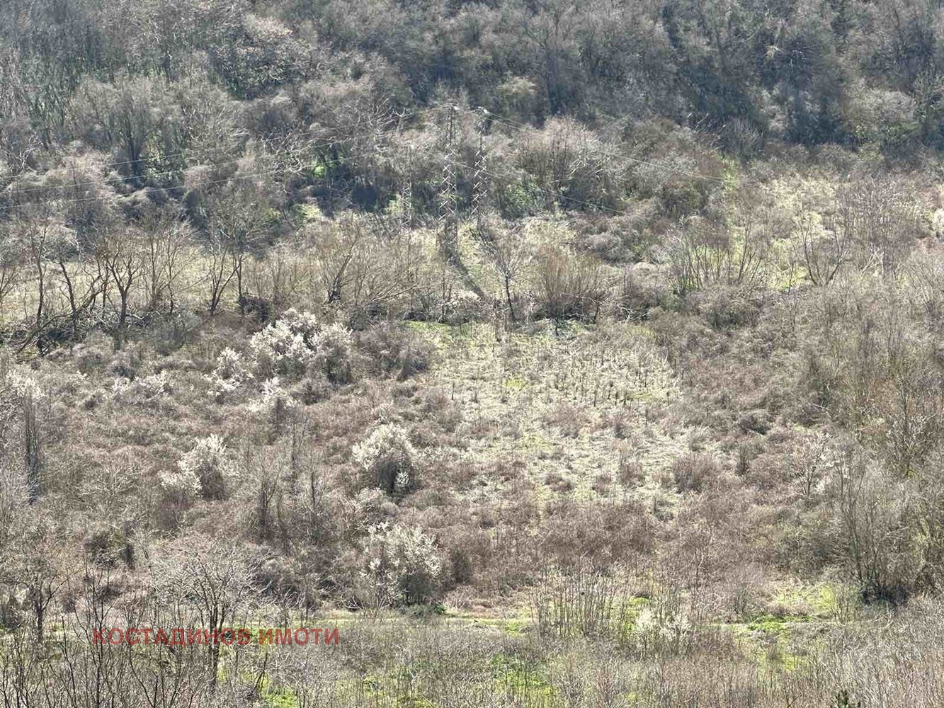 Продава ПАРЦЕЛ | Imot.bg — изображение 10