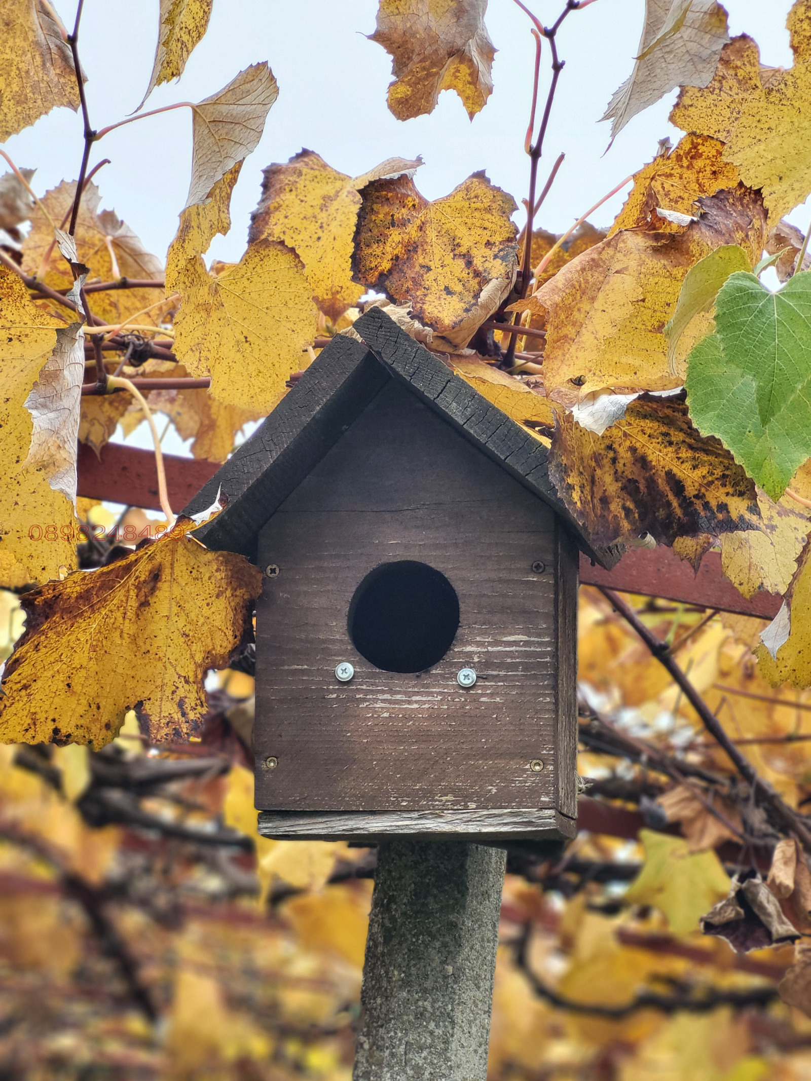 ������� ���� | Imot.bg � ����������� 14