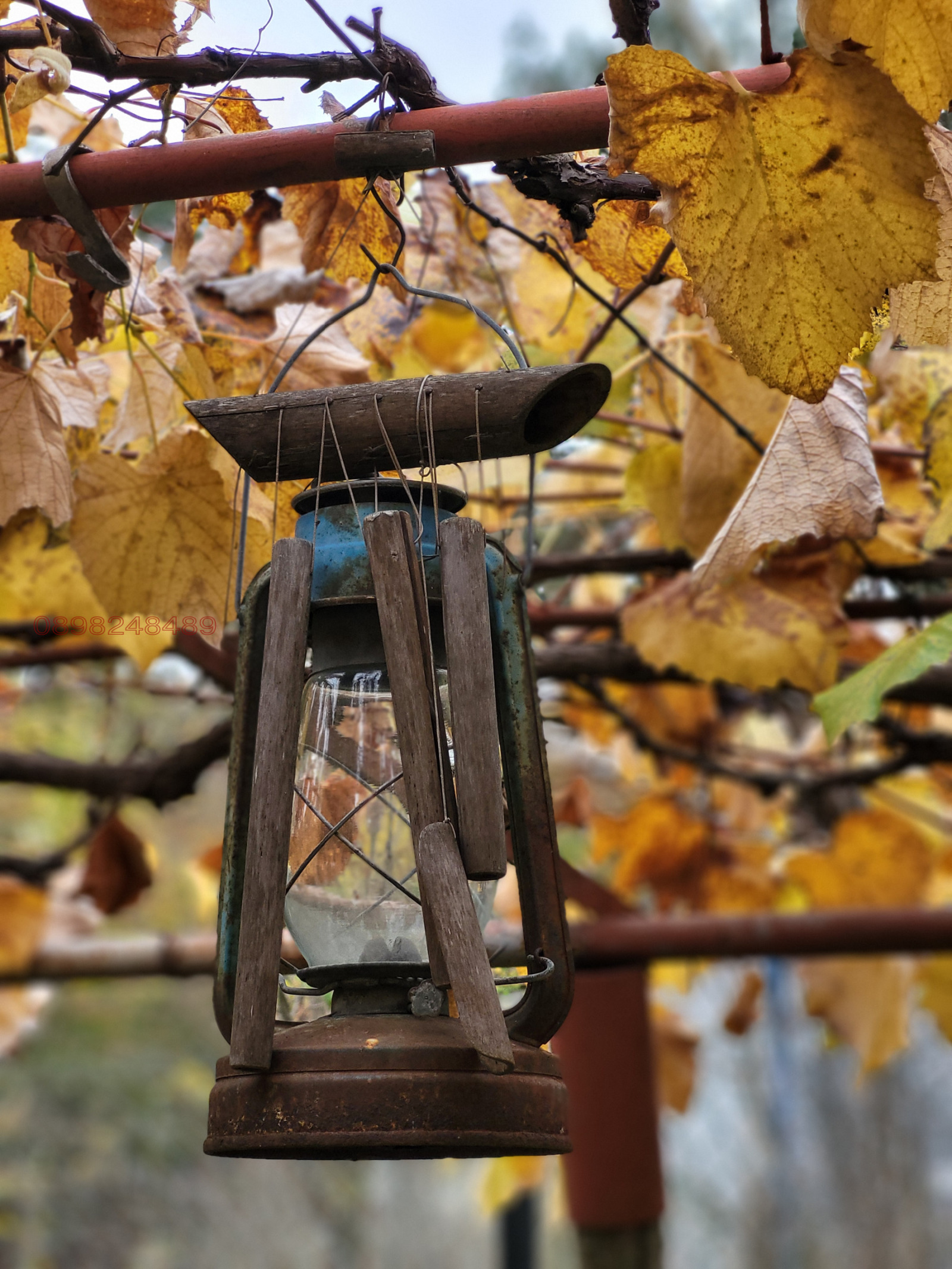 ������� ���� | Imot.bg � ����������� 12