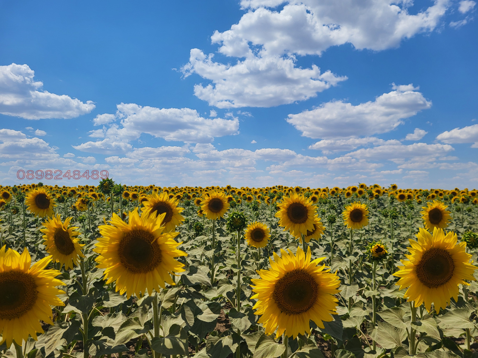 ������� ���� | Imot.bg � ����������� 7