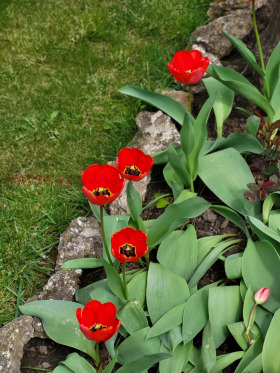 ������� ���� | Imot.bg � ����� ������ 5