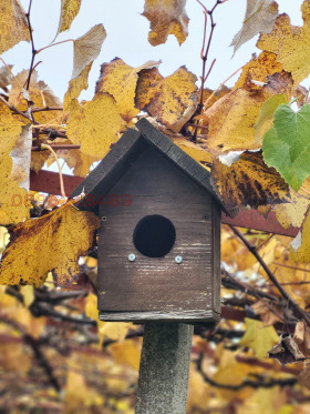 ������� ���� | Imot.bg � ����� ������ 14