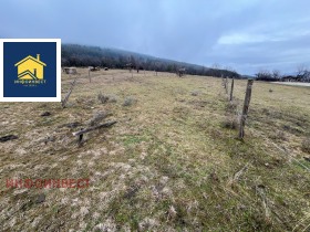 ������ ������� ������