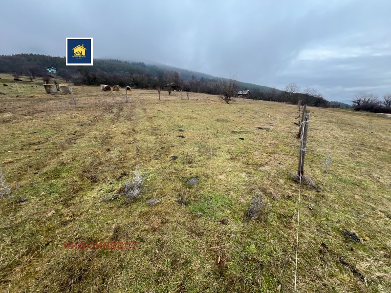 Продава ПАРЦЕЛ, гр. Велинград, област Пазарджик, снимка 2 - Парцели - 53281291