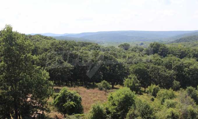 ������� ������ | Imot.bg � ����������� 5