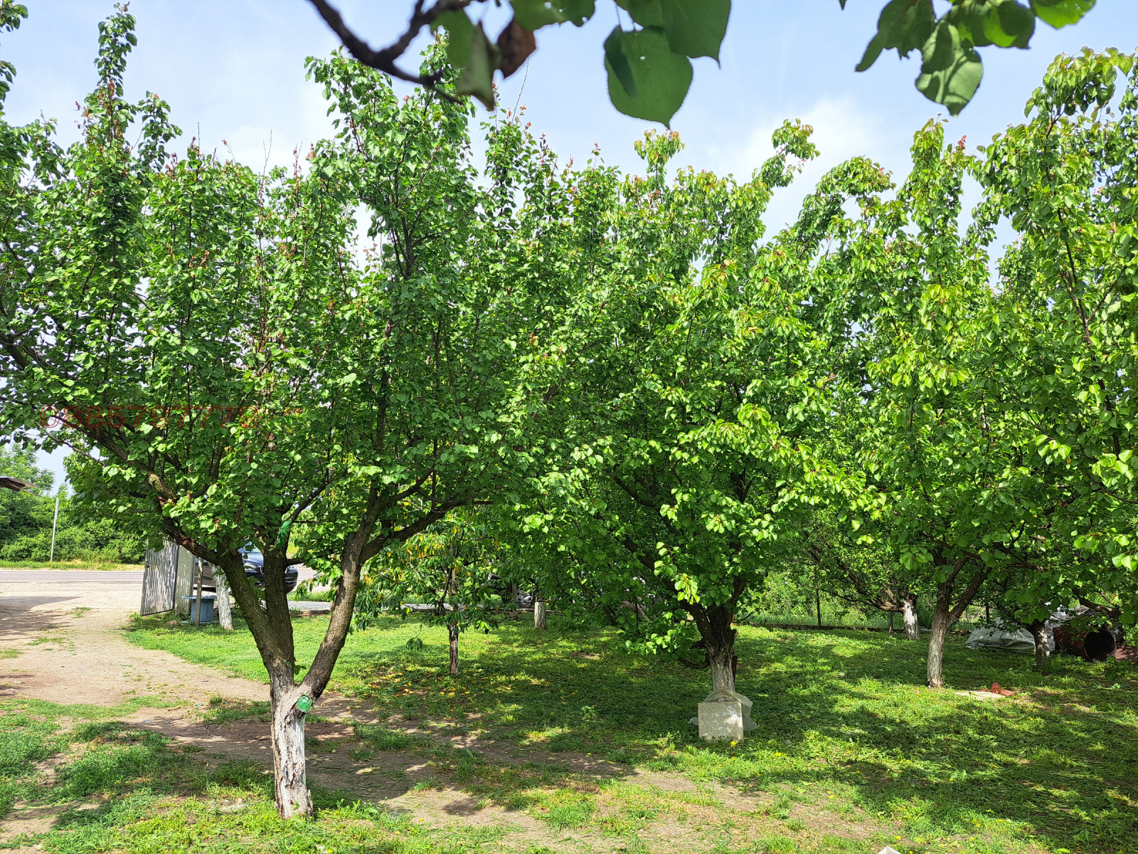 ������� ����� | Imot.bg � ����������� 3