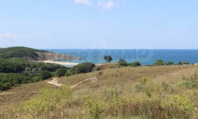 ����� ������� ������,�. ���������, ������ ������