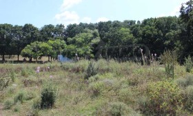 ������� ������ | Imot.bg � ����� ������ 9