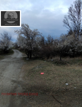 ����� ������� ������,��. �������, ������ ���������