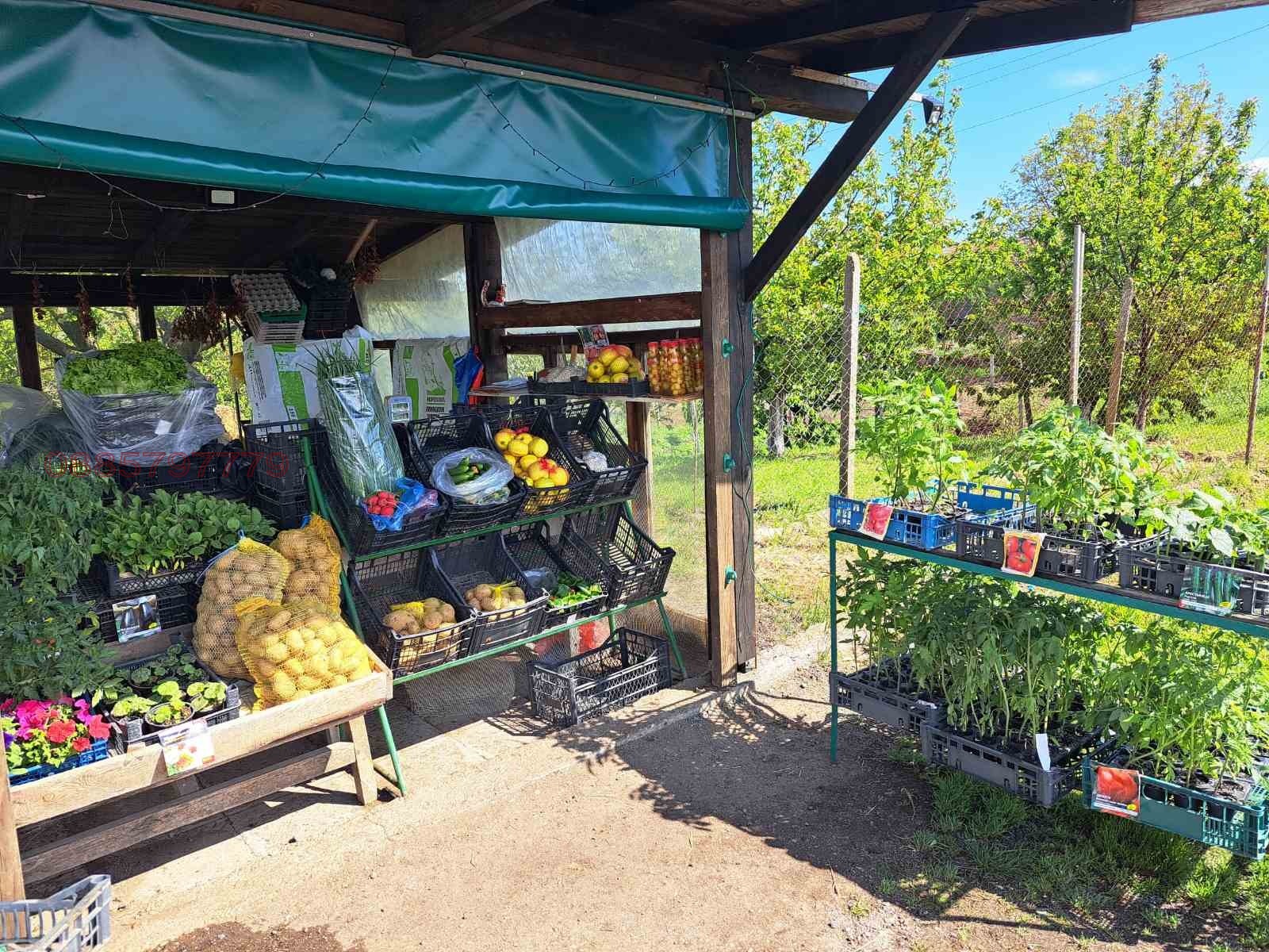 Продава БИЗНЕС ИМОТ, с. Тракия, област Стара Загора, снимка 4 - Други - 56067523
