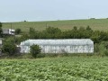 Продава БИЗНЕС ИМОТ, с. Тракия, област Стара Загора, снимка 1